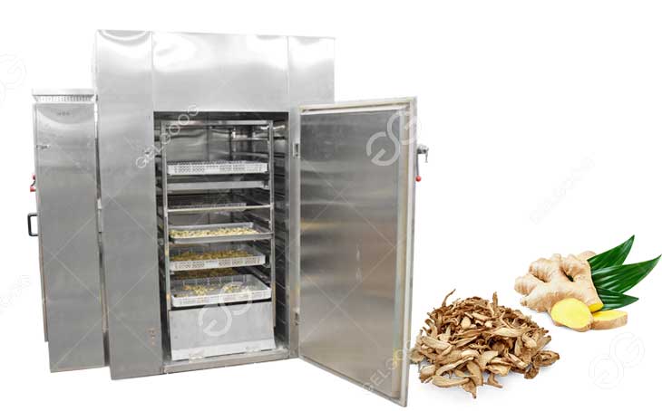 ginger hot air drying oven