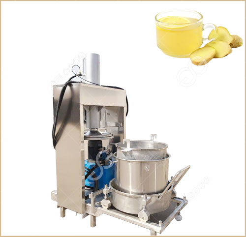 Generic Stainless Steel Ginger Press