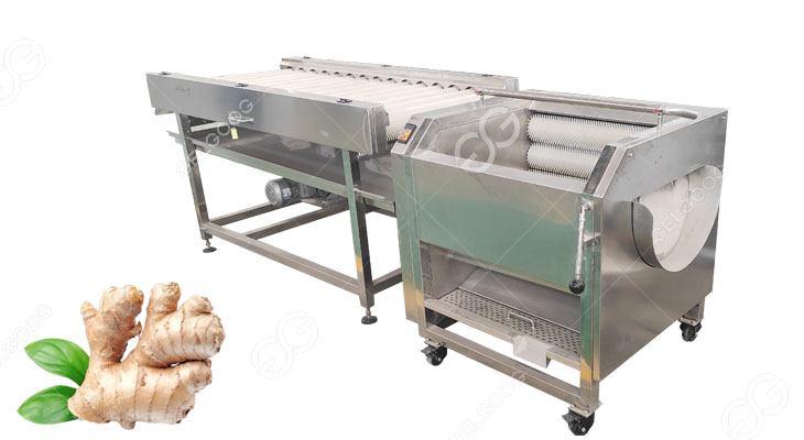 ginger peeling machine
