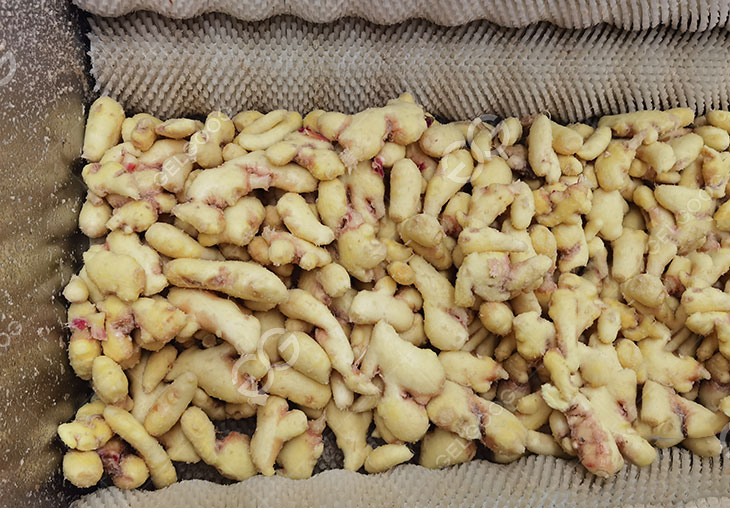 ginger peeling machine1