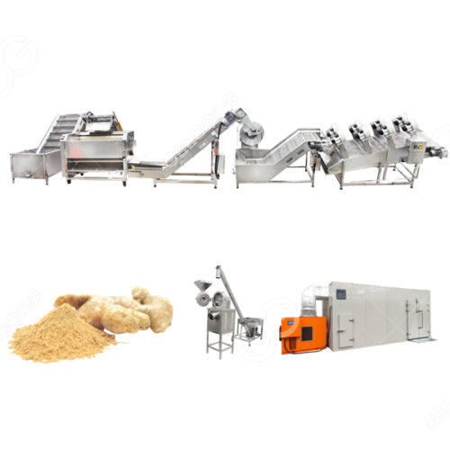 Solution Ginger Processing Solution Manufacturer