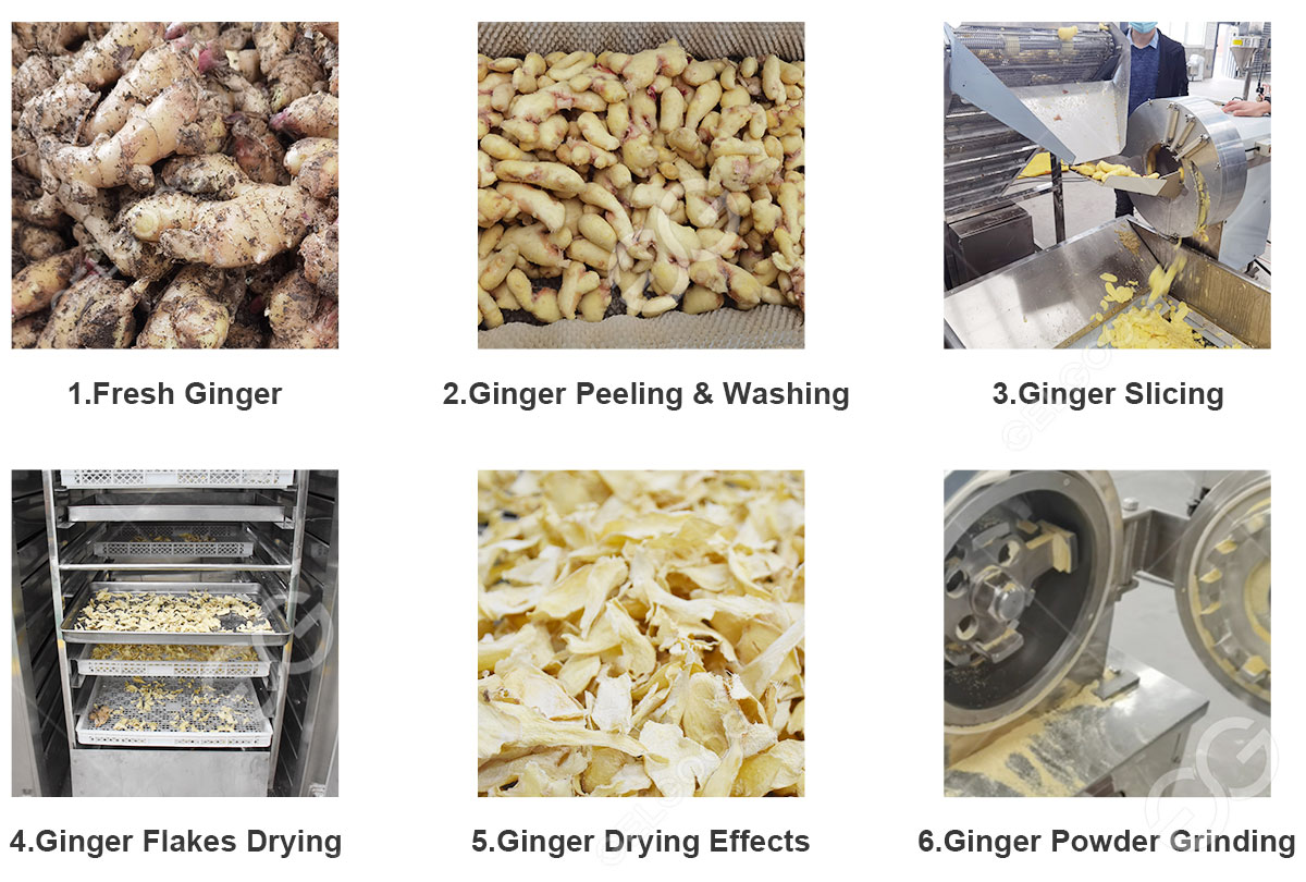 business plan for ginger processing