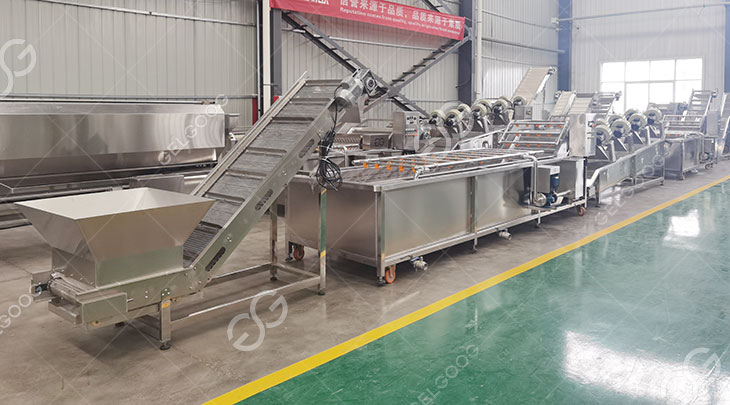ginger washing line in our factory