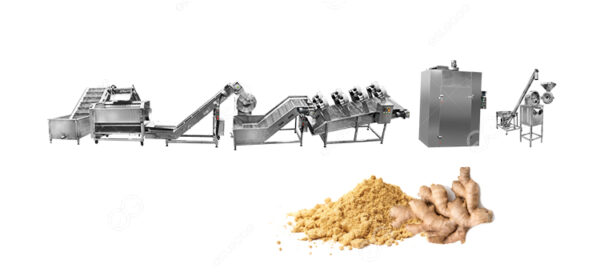Sorting Ginger How Does A Tomato Sorting Machine Work? - Ginger Processing Expert