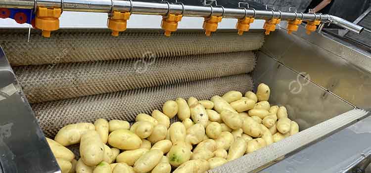 ginger washing peeling machine